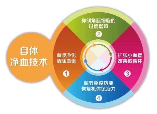 自体净血技术